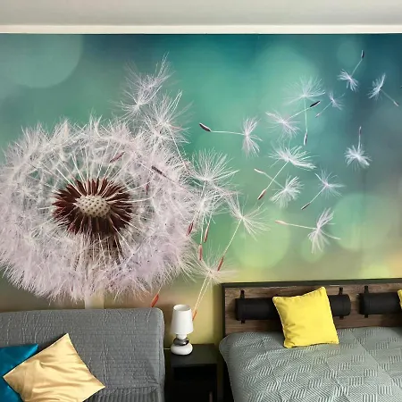 Pitypang Apartman*** * 잘라카로쉬